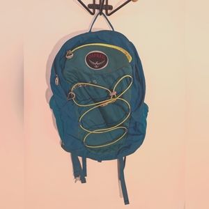Osprey kid's 15 liter hiking pack